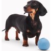 Hračka pro psy Wobble Ball Beco, 7,6 cm, blue