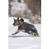 Deka pro psy Standard Back on Track, 43-59 cm, černá (Velikost 43 cm)