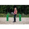 5577 5615 8471 7067 hobby horse