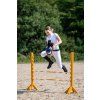 5577 5579 5616 5670 hobby horse 2
