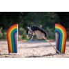 5577 5615 hobby horse