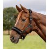 Ohlávka s beránkem Elegant Waldhausen, black/black (Velikost PONY)