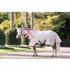 Deka proti hmyzu Amigo Bug Pony, silver/lime, navy, pink & blue (Délka zad 75 cm)