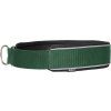 Obojek pro psy Charlie Back on Track, green (Velikost 30 cm)