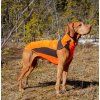 Deka pro psy Eddie Back on Track, orange (Velikost 45 cm)