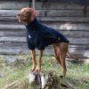 Deka fleecová pro psy Cassie Jumper Back on Track, černá (Velikost 25 cm)