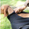 Deka fleecová pro psy Cassie Jumper Back on Track, černá (Velikost 25 cm)