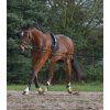 Postroj lonžovací Waldhausen, černý (Velikost PONY/COB)