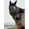 Ohlávka s maskou Equithème, s ochranou uší a nozder, černá