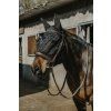Maska proti hmyzu Soft Equithème, s ochranou uší, černá (Velikost PONY)