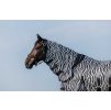 Deka proti hmyzu Combo Riding World, s krkem, zebra