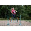 5577 5579 5616 5617 5670 hobby horse 3