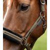 Ohlávka s beránkem Elegant Waldhausen, green brown (Velikost PONY)