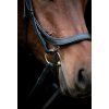 Uzdečka anatomická Vinja HorseGuard, černá (Velikost SHETTY)