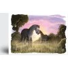 mare and foal horse greeting card a5 by emily cole illustrations