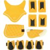 Sada doplňků Pony Academy Equithème, 5 ks, mini, yellow