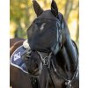 Maska proti hmyzu Ride On LeMieux, jezdecká, s ochranou uší, černá