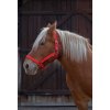 Ohlávka pro tažné koně Norton Pro, red