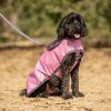 Postroj pro psy QHP, cheery pink