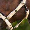 Ohlávka Jewel Mesh Imperial Riding, light olive (Velikost COB)