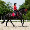Dečka podsedlová Oakleigh QHP, sunset red/black (Velikost drezurní COB/FULL)