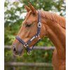 Ohlávka Lined QHP, blue (Velikost PONY)