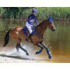 Kamaše přední Eventing Technical QHP, pár, cobalt blue (Velikost L)