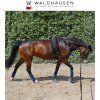 Dečka pod lonžovací obřišník Waldhausen, paměťová, černá (Velikost PONY)