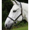 Kožená ohlávka STAR, černá (Velikost PONY)