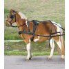 Poprsní postroj pro pony Star Waldhausen, černý (Velikost PONY)