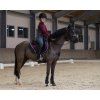 Rajtky Chelsey QHP, dětské, dark grey (Velikost 140)