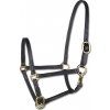 Ohlávka hříběcí STAR, kožená, black/gold (Velikost MINI SHETTY)