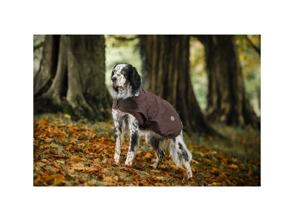 Derka dla psa Newmarket Heritage Horseware, 0 g, brown/witney navy