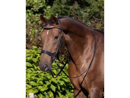 Ogłowie Devi QHP, czarne