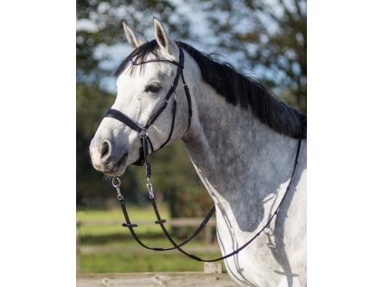 Ogłowie bezwędzidłowe Sunna QHP, czarne