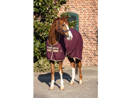 Derka stajenna<strong> </strong>Amigo, 0 g, fig/navy/tan