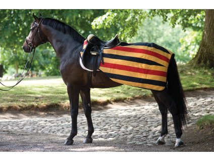 Derka treningowa Rambo Competition, whitney gold