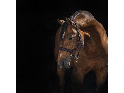 Kantar skórzany Rambo Micklem, brązowy