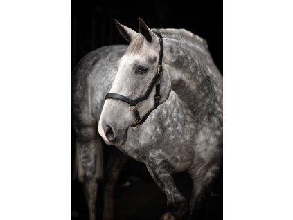 Kantar skórzany Rambo Micklem, czarny