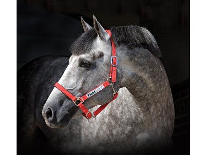 Kantar bezpieczny Horseware, red (Rozmiar COB)