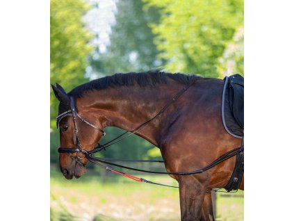 Skórzane wypinacze Waldhausen, czarne