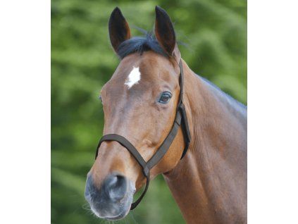 Kantar Field Waldhausen, czarny (Rozmiar PONY)
