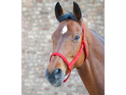 Kantar Field Waldhausen, red (Rozmiar PONY)