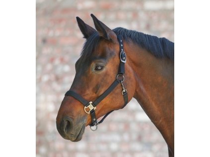 Kantar Gloomy Waldhausen, czarny