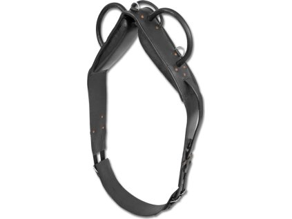 Pas do lonżowania/woltyżerki skórzany Waldhausen, czarny