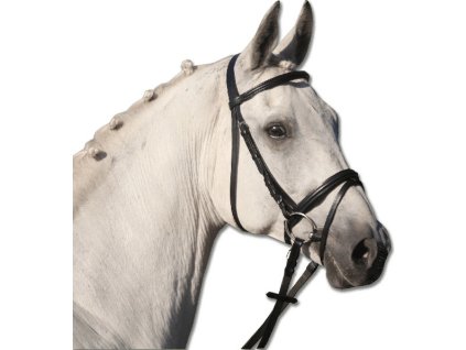 Ogłowie STAR Lifestyle Waldhausen, czarne