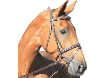 Ogłowie Star Lifestyle Waldhausen, brązowe