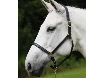 Kantar skórzany STAR, czarny