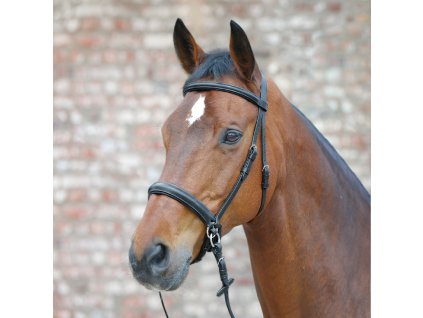 Ogłowie bezwędzidłowe Star Waldhausen, czarne