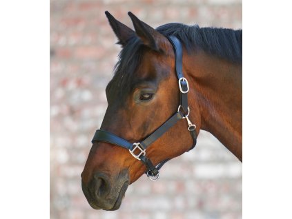 Kantar skórzany Anatomical X-Line Waldhausen, czarny